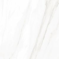EC Calacatta Gold Matte 24 x 24
